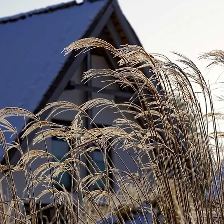 Kapitaensweg 2 Kajuete 06 Ferienhaus